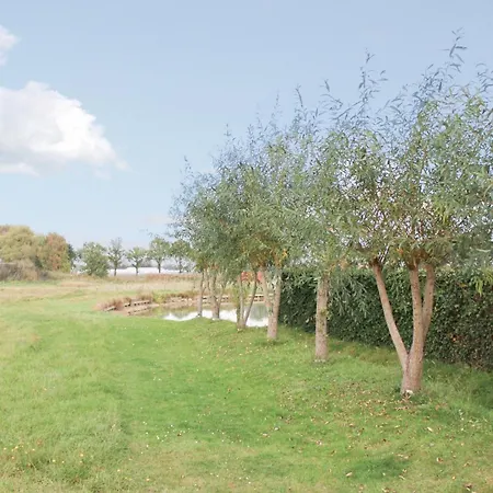 2 Bedroom In Molenschot